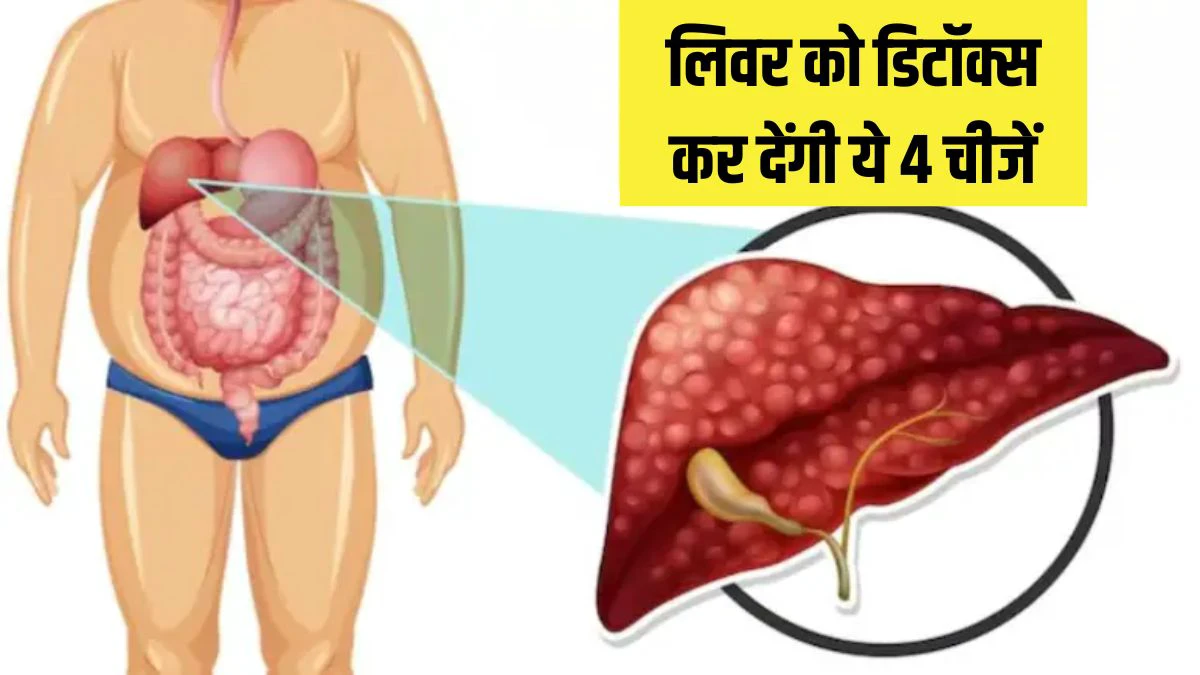 20-25 दिनों में लिवर को डिटॉक्स कर देंगी ये 4 चीजें, आयुर्वेदिक डॉक्टर ने Fatty Liver के लिए बताया रामबाण 20-25 दिनों में लिवर को डिटॉक्स कर देंगी ये 4 चीजें, आयुर्वेदिक डॉक्टर ने Fatty Liver के लिए बताया रामबाण