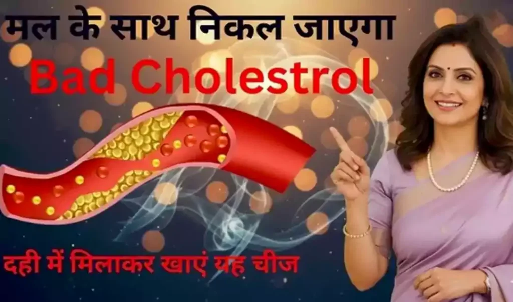 मल के साथ निकल जायेगा सारा Bad Cholesterol, बस दही में मिलाकर खा लो ये चीज़, कोलेस्ट्रॉल को कंट्रोल करने का बेहतरीन तरीका मल के साथ निकल जायेगा सारा Bad Cholesterol, बस दही में मिलाकर खा लो ये चीज़, कोलेस्ट्रॉल को कंट्रोल करने का बेहतरीन तरीका