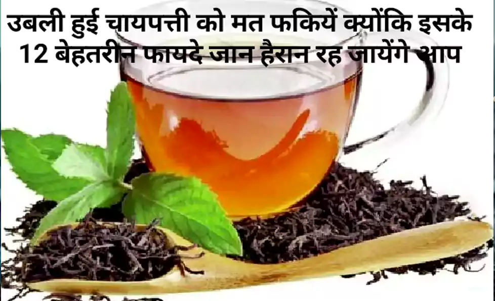 उबली हुई चायपत्ती को मत फैंकिये क्योंकि इसके 12 बेहतरीन फायदे जान हैरान रह जायेंगे आप, जरूर पढ़े और शेयर करे उबली हुई चायपत्ती को मत फैंकिये क्योंकि इसके 12 बेहतरीन फायदे जान हैरान रह जायेंगे आप, जरूर पढ़े और शेयर करे