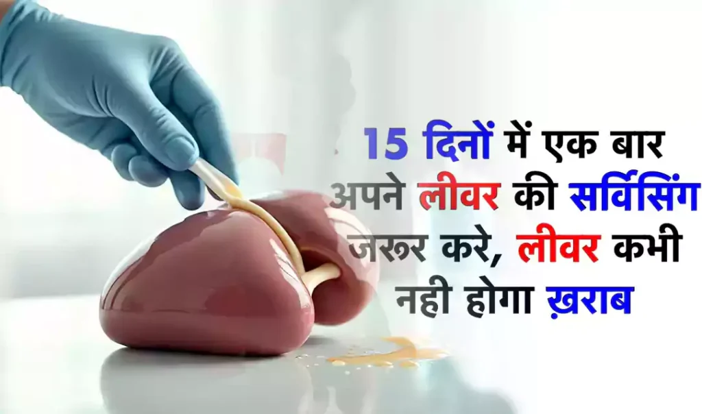 15 दिनों में अपने लीवर को एक बार जरूर साफ करना चाहिए लीवर में जमा ज़हर निकाले सिर्फ 15 दिन में डॉक्टर्स भी देते हैं सलाह 15 दिनों में अपने लीवर को एक बार जरूर साफ करना चाहिए लीवर में जमा ज़हर निकाले सिर्फ 15 दिन में डॉक्टर्स भी देते हैं सलाह