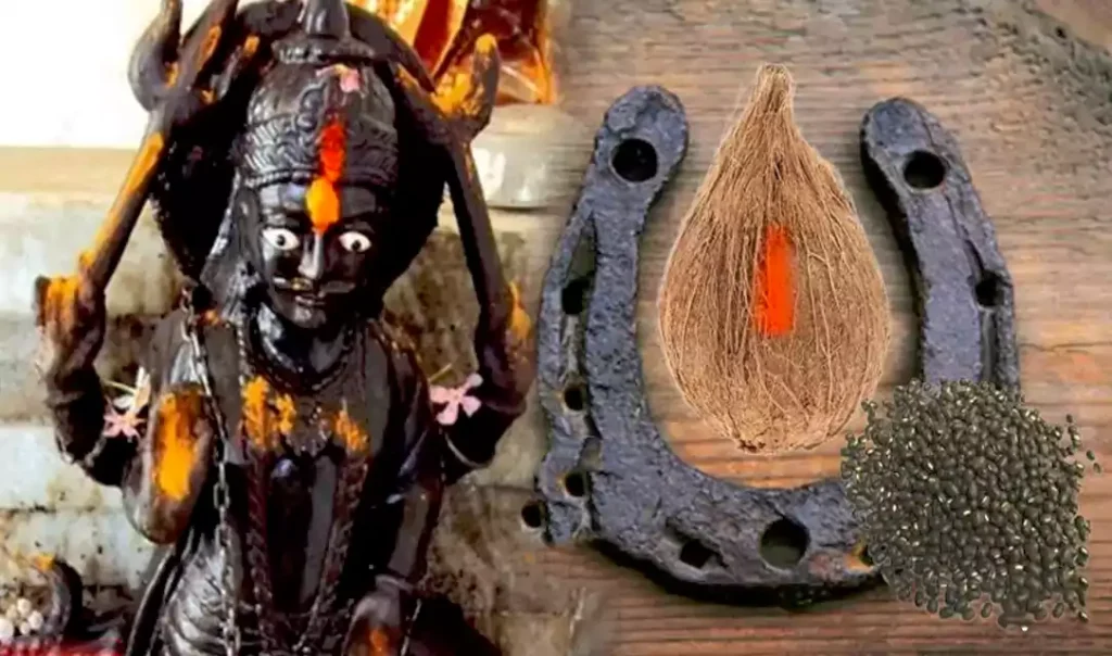शनिदेव का नाम लेकर करें घोड़े की नाल के टोटके गरीब बन जाएगा अमीर बीमार हो जाएगा ठीक