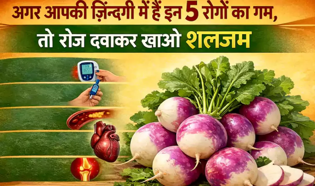 अगर आपकी ज़िन्दगी में है इन 5 रोगों का गम तो रोज दबाकर खाओ शलजम, जरूर अपनाएँ और शेयर करे