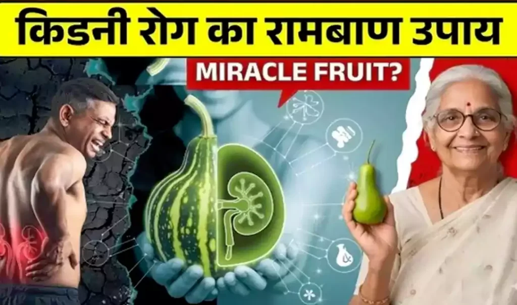किडनी की सेहत के लिए आखिर क्यों खास माना जाता है यह फल? इसके पोषक तत्वों और संभावित फायदों के बारे में जानकर आप भी रह जाएंगे हैरान