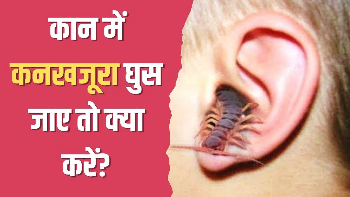 कान में कनखजूरा घुस जाए तो क्या करें? योग गुरु कैलाश बिश्नोई ने बताया इस एक काम को करने पर तुरंत आ जाएगा बाहर कान में कनखजूरा घुस जाए तो क्या करें? योग गुरु कैलाश बिश्नोई ने बताया इस एक काम को करने पर तुरंत आ जाएगा बाहर