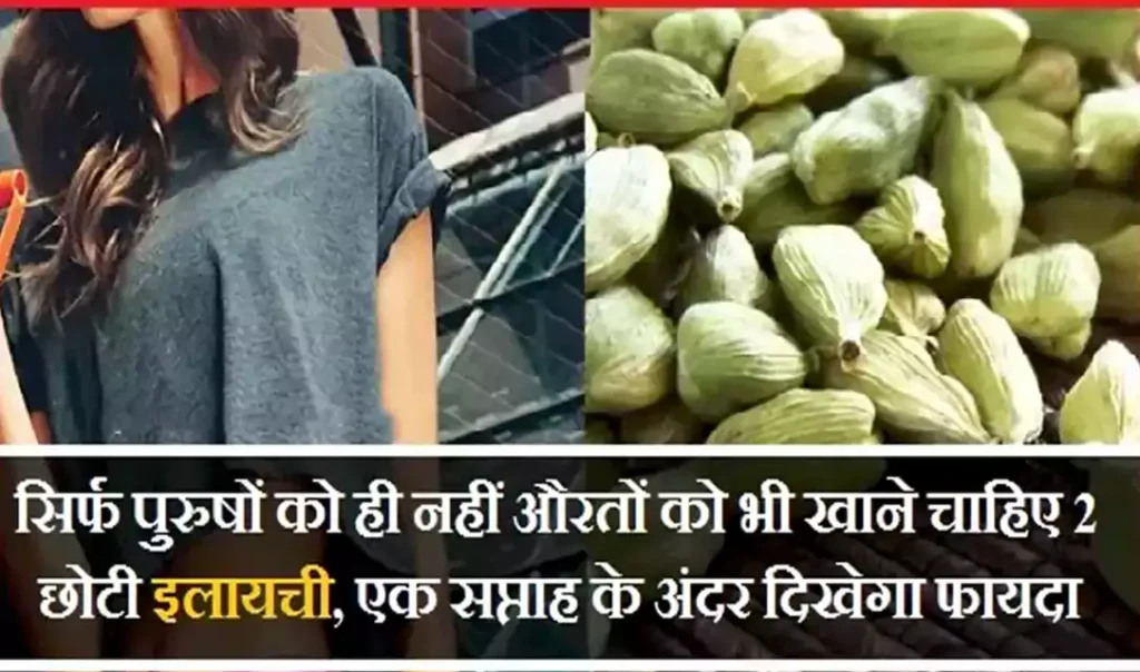 सिर्फ पुरुषों को ही नहीं औरतों को भी खाने चाहिए 2 छोटी इलायची, एक सप्ताह के अंदर दिखेगा गज़ब का फायदा