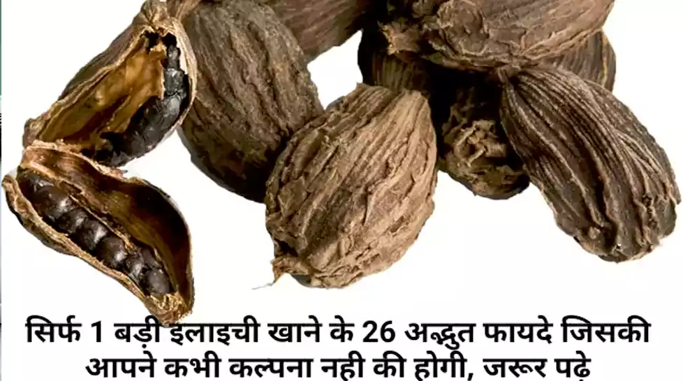 सिर्फ 1 बड़ी इलाइची खाने के 26 अद्भुत फायदे जिसकी आपने कभी कल्पना नही की होगी, जरूर पढ़े और शेयर करे सिर्फ 1 बड़ी इलाइची खाने के 26 अद्भुत फायदे जिसकी आपने कभी कल्पना नही की होगी, जरूर पढ़े और शेयर करे