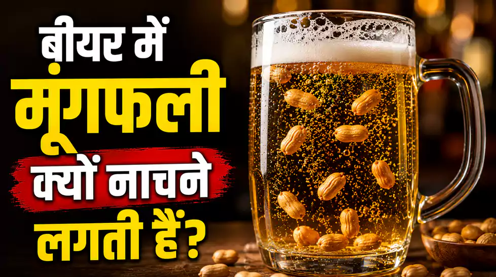 कभी सोचा है कि बीयर में डालते ही मूंगफलियां क्यों नाचने लगती हैं, जानिए क्या है वैज्ञानिक कारण कभी सोचा है कि बीयर में डालते ही मूंगफलियां क्यों नाचने लगती हैं, जानिए क्या है वैज्ञानिक कारण
