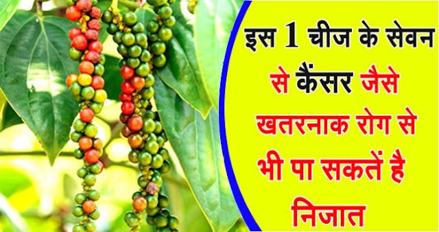 इस एक चीज के सेवन से कैंसर जैसे खतरनाक रोग से भी पा सकते है निजात