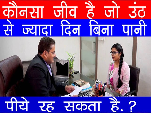 इंटरव्यू में पूछा ऐसा कौन सा जीव है जो ऊँट से भी ज्यादा दिन तक बिना पानी पीये रह सकता है ?