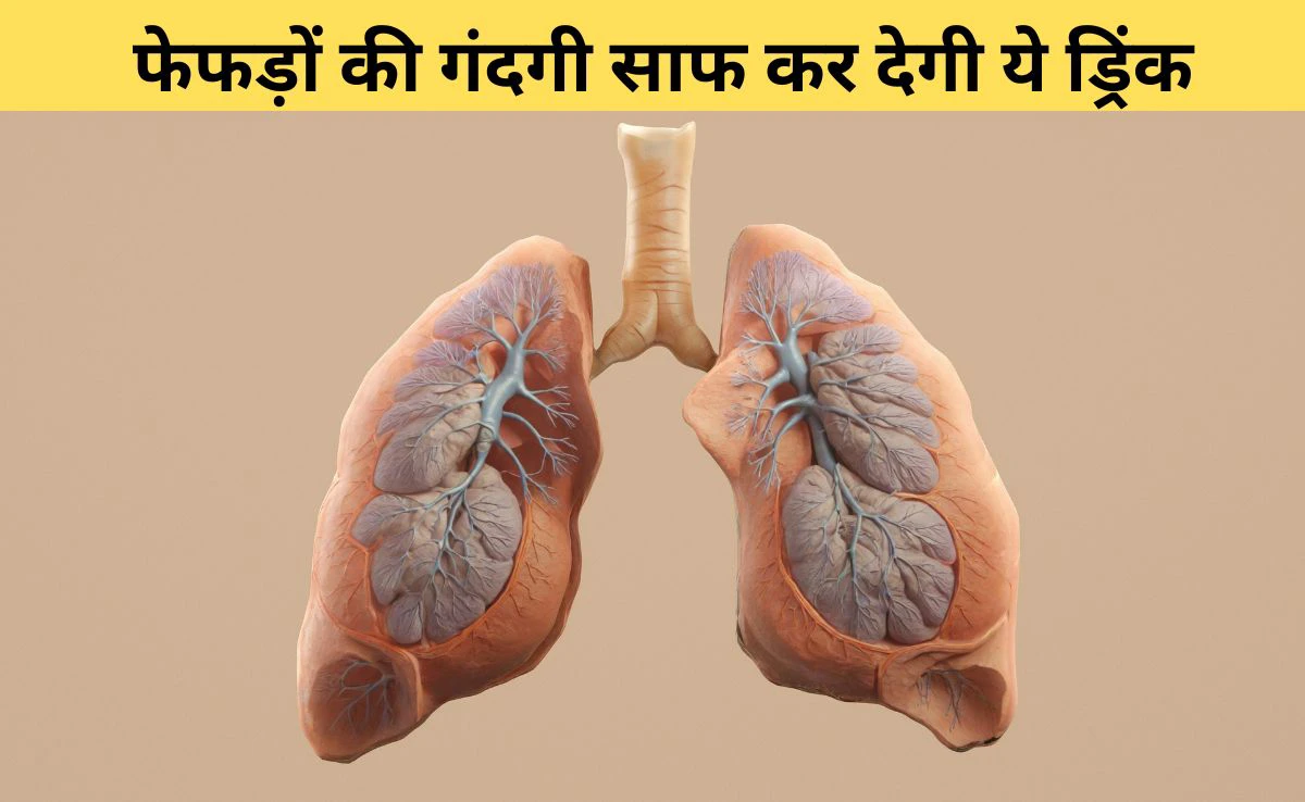 Smoking से खराब होते Lungs को नेचुरली डिटॉक्स कर देगी ये ड्रिंक, आयुर्वेदिक डॉक्टर ने बताया 3 दिन में साफ हो जाएगा फेफड़ों में जमा धुआं और बलगम Smoking से खराब होते Lungs को नेचुरली डिटॉक्स कर देगी ये ड्रिंक, आयुर्वेदिक डॉक्टर ने बताया 3 दिन में साफ हो जाएगा फेफड़ों में जमा धुआं और बलगम