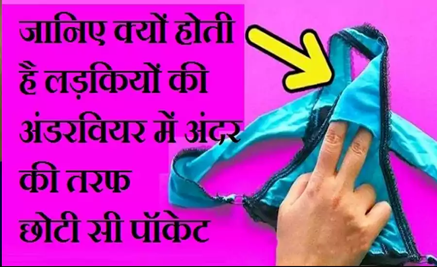 क्या आपने कभी लड़कियों की अंडरवियर के अंदर बनी उस छोटी-सी पॉकेट पर ध्यान दिया है? ज्यादातर लोग नहीं जानते इसका असली काम, वजह जानकर रह जाएंगे हैरान
