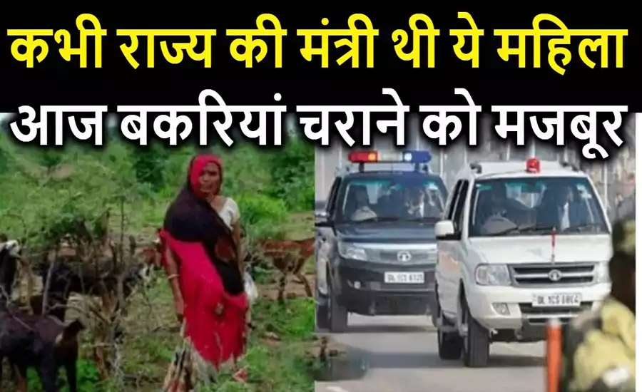 कभी लाल बत्ती वाली गाड़ी में चला करती थीं ये महिला, आज बकरी चराकर कर रही है अपना गुजारा
