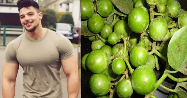 30 दिन में शरीर बनाता फौलादी, मांस से भी ज्यादा ताकत देता ये सस्ता फल