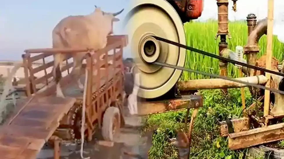 मशीन और गाय का दिलचस्प संगम है ये आविष्कार देखकर आप भी कहेंगे- गांववालों का कोई तोड़ नहीं मशीन और गाय का दिलचस्प संगम है ये आविष्कार देखकर आप भी कहेंगे- गांववालों का कोई तोड़ नहीं