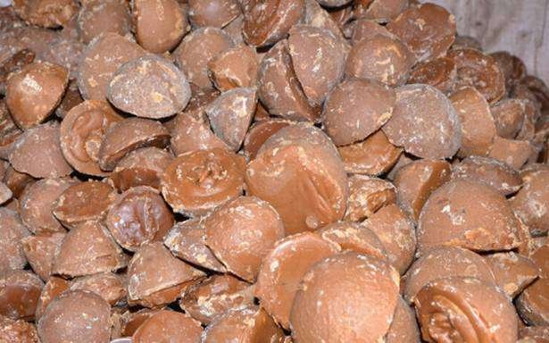एक बार इसे खा लें बस, राजा-महाराजा करते थे इन जड़ी बूटियों का इस्‍तेमाल