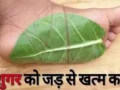 लो जी! मिल गया इस खतरनाक बिमारी का इलाज, इस पत्ते को रात में अपने पैर पर लगा लें, जड़ से खत्म हो जाएगी शुगर जैसी गंभीर बीमारी