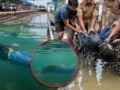 तीन दिन तक 12 फीट गहरे पानी में तैरता रहा युवक का शव, शाहजहांपुर स्टेशन पर खुली रेलवे की लापरवाही की पोल