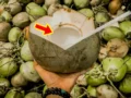 इन ट्रिक्स से करें पता की आपके नारियल में कितना पानी है और कितनी मलाई?