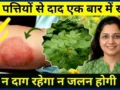 दाद को जड़ से मिटाने वाला शक्तिशाली आयुर्वेदिक नुस्खा, विस्तार में जानें इसके बारे में