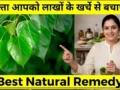 सुबह खाली पेट सिर्फ 1 पत्ता आपको लाखों के खर्चे से बचाएगा. बुढ़ापे तक शरीर मजबूत, निरोगी बना रहेगा