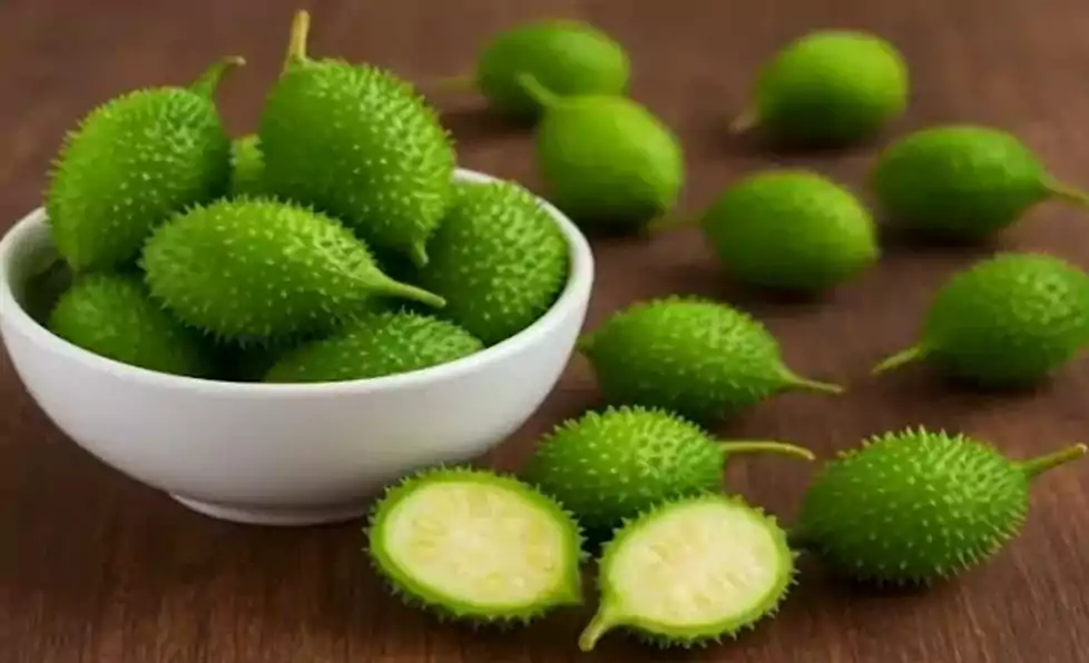 520