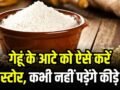 गेहूं का आटा ऐसे करें स्टोर, महीनों तक नहीं पड़ेंगे कीड़े, बड़ी कमाल की है ये ट्रिक