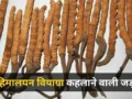 शिलाजीत से कई गुना ताकतवर है पहाड़ों में मिलने वाली ये जड़ी, हिमालयन वियाग्रा के नाम से है मशहूर
