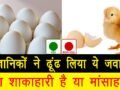 अंडा शाकाहारी है या मांसाहारी? उठ गया है इस रहस्य से पर्दा, वैज्ञानिकों ने खुद दिया है ये जवाब