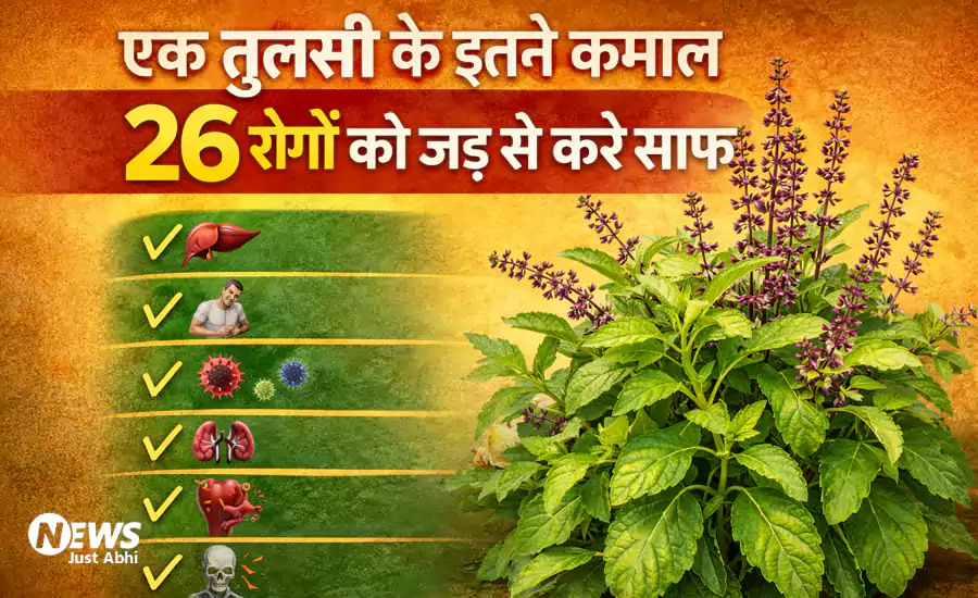 ek tulsi
