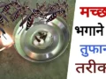 ये है मच्छर भगाने का तूफानी तरीका, रात्रि में आएगी अच्छी नींद