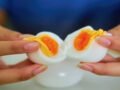 Egg Freshness Test: दुकान से लाया अंडा खराब तो नहीं? खाने से पहले इन संकेतों से करें तुरंत पहचान